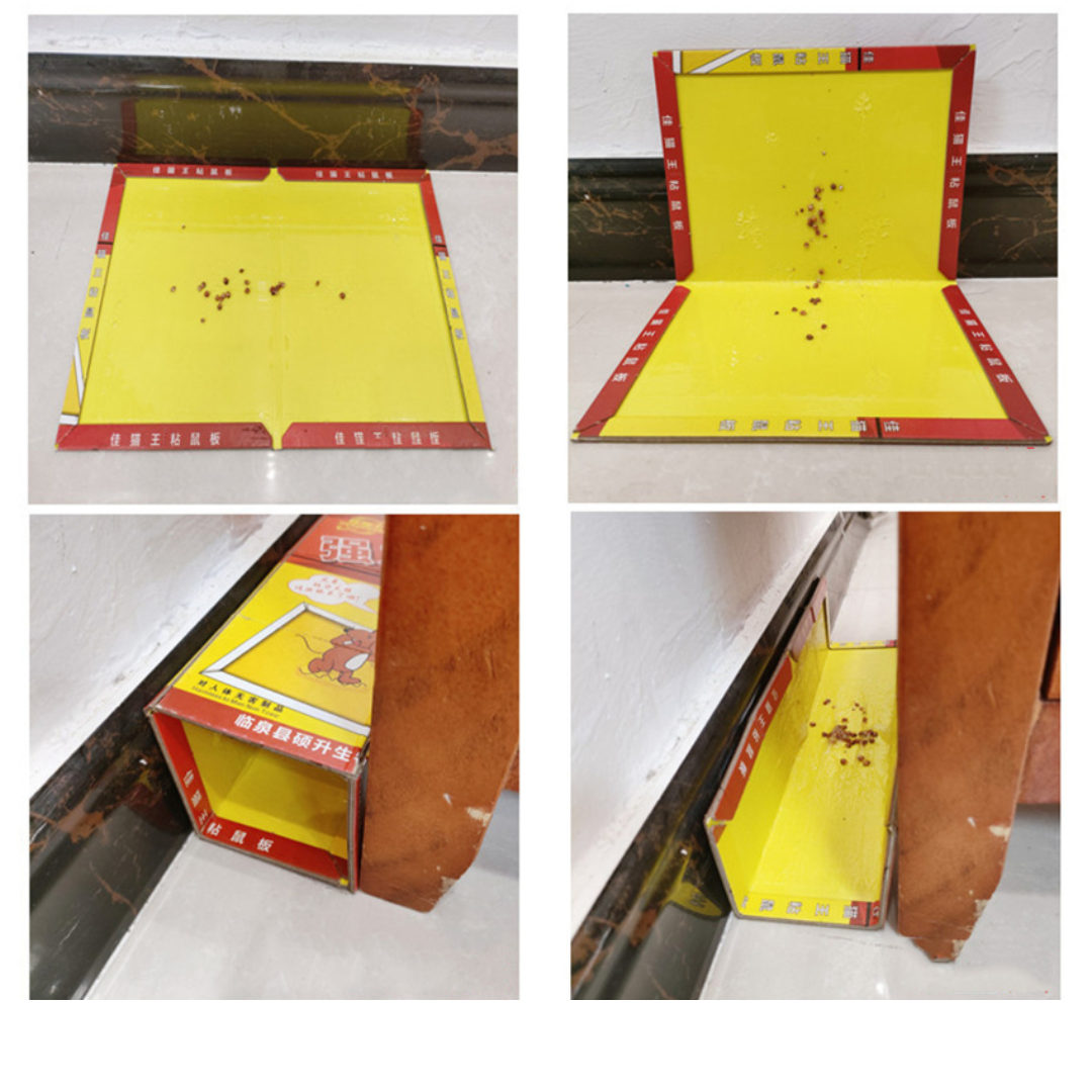 Armadilha Adesiva Para Ratos: Nova Versão Com Cola Super-Resistente, Captura Ratos Muito Rapidamente