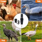 🐔-70% DTO | Despenador Manual e Portátil com Carregador Rápido Incluso