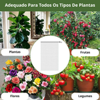 Sacos de Malha Respiráveis para Proteção de Frutas e Vegetais | Reutilizáveis