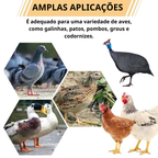 ⚡Porta De Alimentação Automática Para Galinhas E Patos Para Todos Os Tipos De Baldes – Inclui Broca Serra Copo