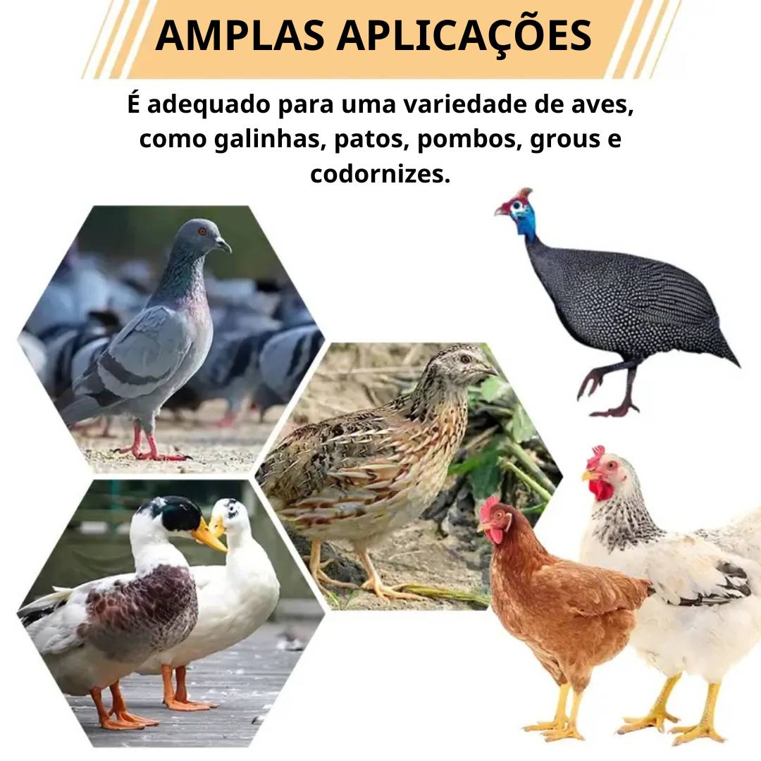 ⚡Porta De Alimentação Automática Para Galinhas E Patos Para Todos Os Tipos De Baldes – Inclui Broca Serra Copo