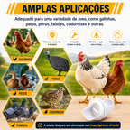 ⚡ Kit Alimentador Para Aves De Capoeira