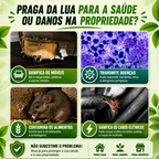 BestSeller™ - Gaiola Armadilha Humana Para Ratos, Ratinhos E Esquilos Vivos