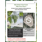 Sacos de Malha Respiráveis para Proteção de Frutas e Vegetais | Reutilizáveis