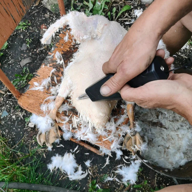 ✨ Máquina automática de depenagem de aves - ⏰ Economize tempo 3 vezes