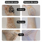 Máquina automática de depenagem de aves - ⏰ Economize tempo 3 vezes