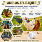 🐓 Kit Alimentador Para Aves De Capoeira