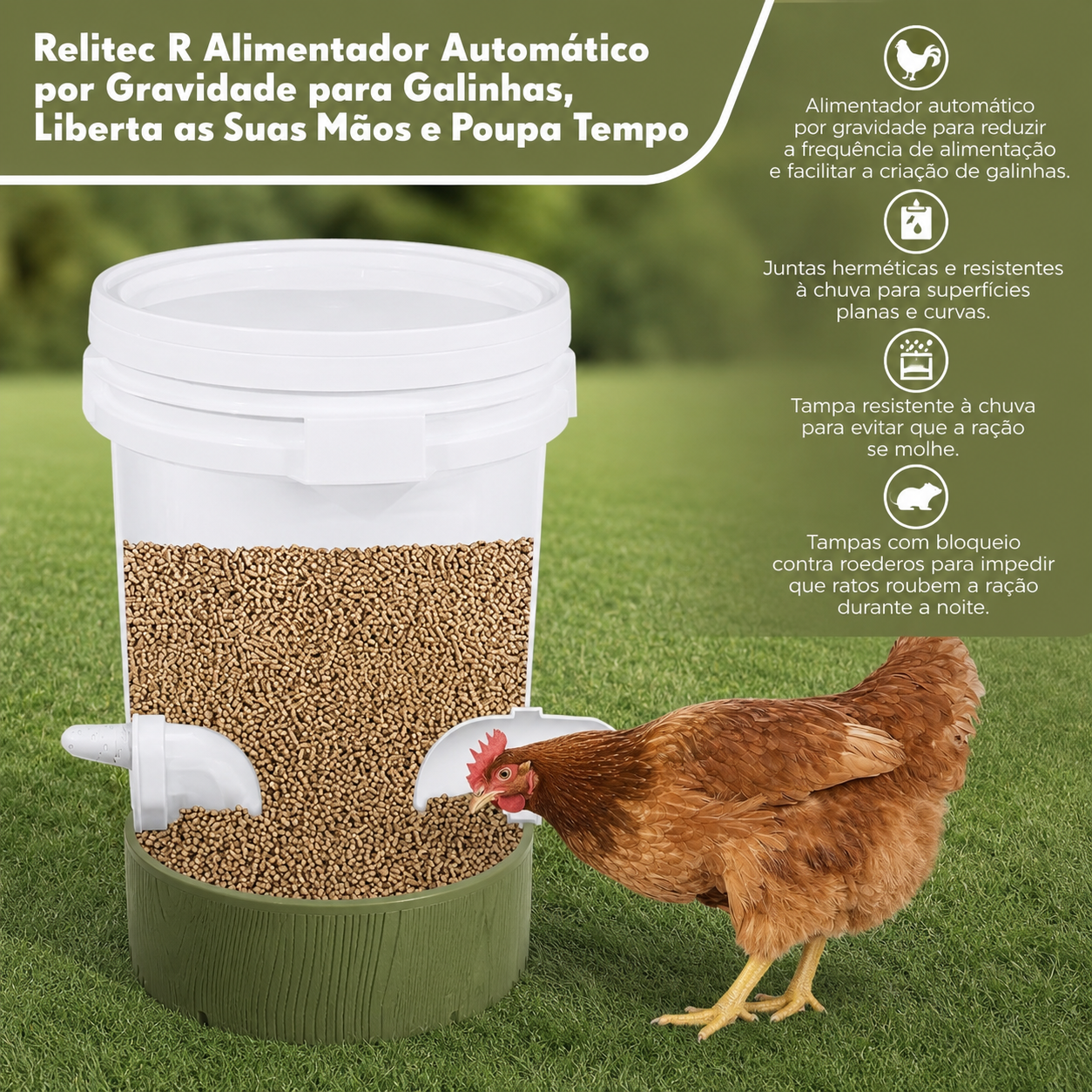 🐓 Kit Alimentador Para Aves De Capoeira