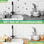 🚫🪳Combo de Iscas Biológicas para Baratas – Ação Rápida, Sem Odor, Não Tóxico, Seguro para Crianças e Animais de Estimação