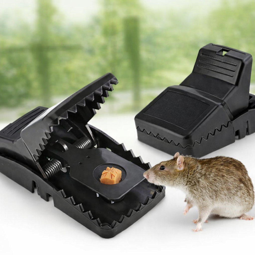 🇵🇹 Armadilha para ratos Trapper T-Rex