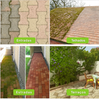 🎁Acessórios de instalação gratuita | Lâmina de corta-relva em aço super resistente com rotação de 360°