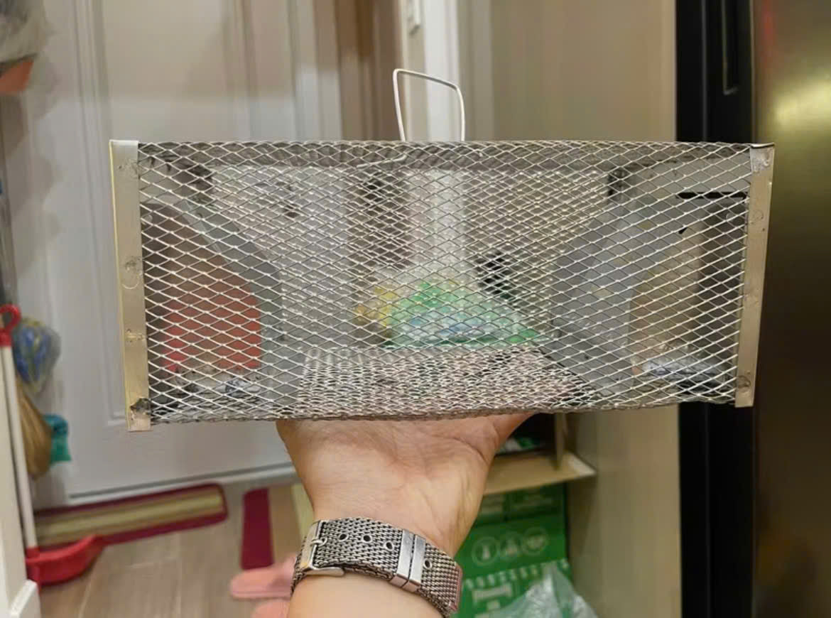 🐭 BestSeller™ - Gaiola Armadilha Humana Para Ratos, Ratinhos E Esquilos Vivos