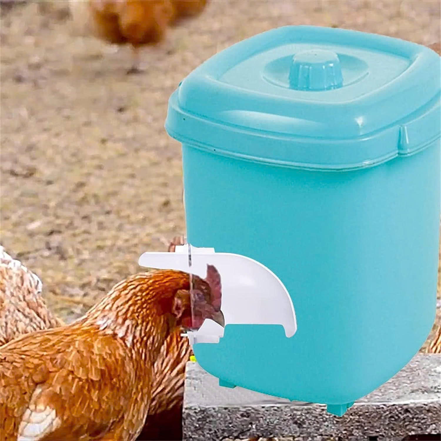 🐓 Kit Alimentador Para Aves De Capoeira