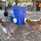 🐓 Kit Alimentador Para Aves De Capoeira