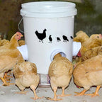 🐓 Kit Alimentador Para Aves De Capoeira